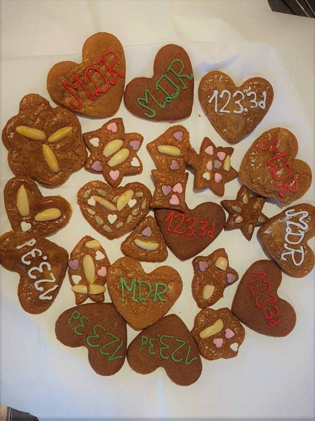 MTE MDR 123.3d workshop