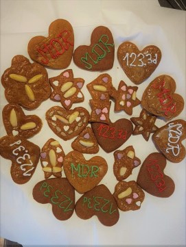 MTE MDR 123.3d workshop