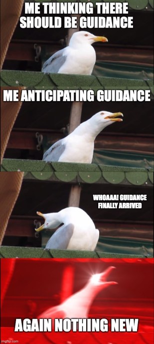 Class I guidance gull